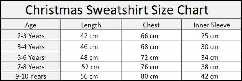 Boys Girls Kids Christmas Sweatshirt Reindeer Sweater Xmas Jumper Top Rudolph