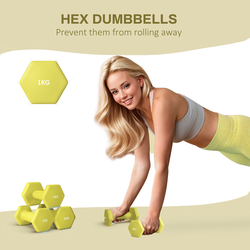Dumbbells, Hexagonal Weights Pair