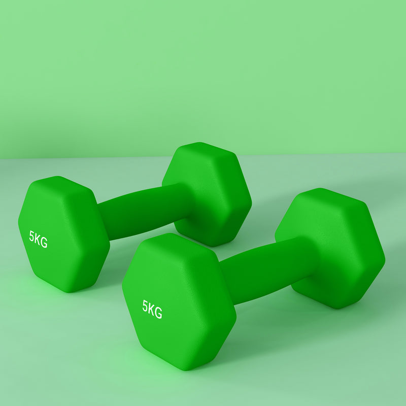 Dumbbells, Hexagonal Weights Pair