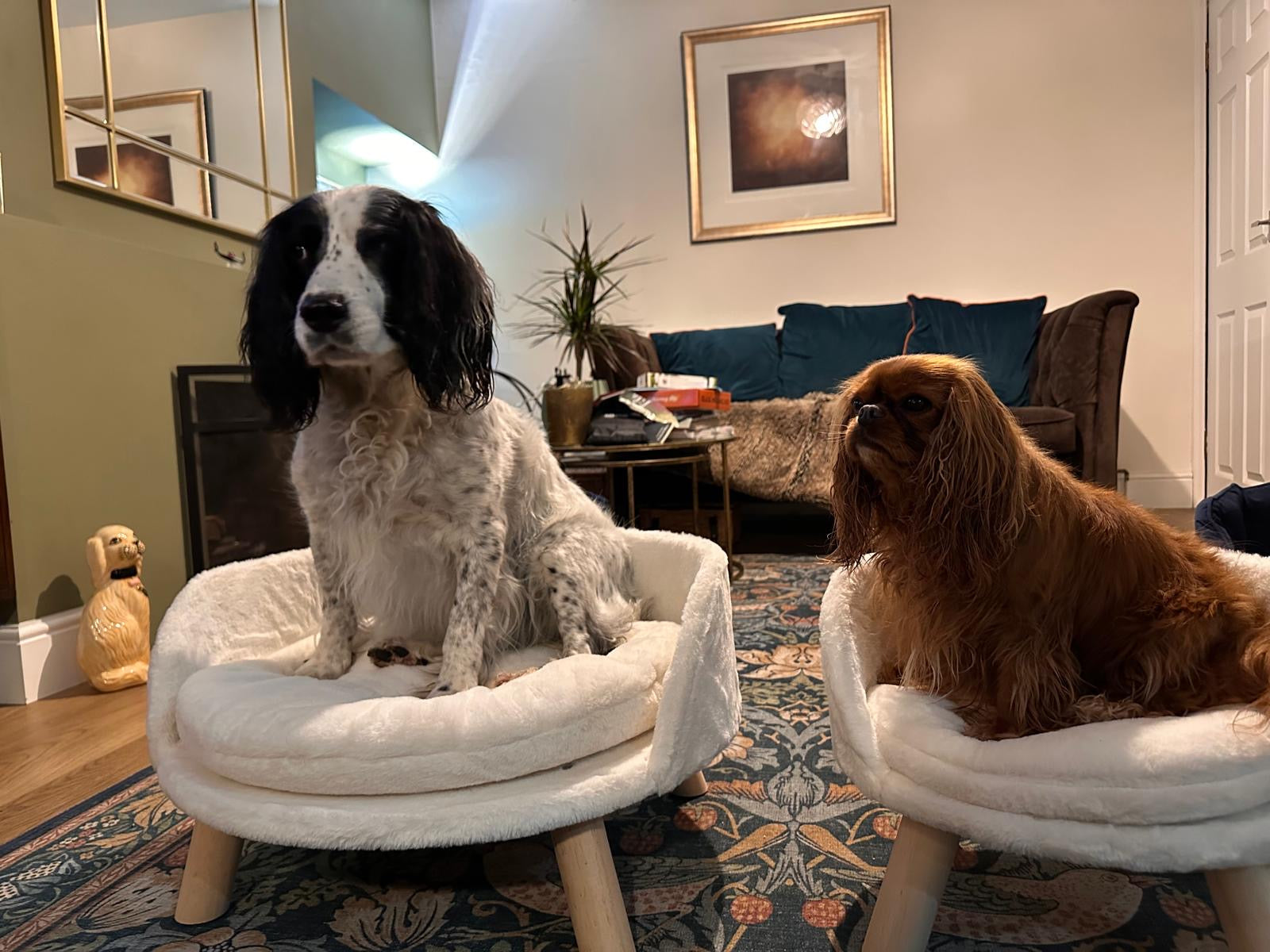 Luxury Cat or Small Dog Bed, Soft and Warm White Plush Stool