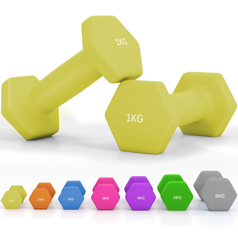 Dumbbells, Hexagonal Weights Pair