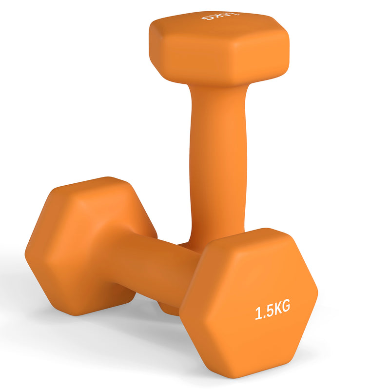 Dumbbells, Hexagonal Weights Pair