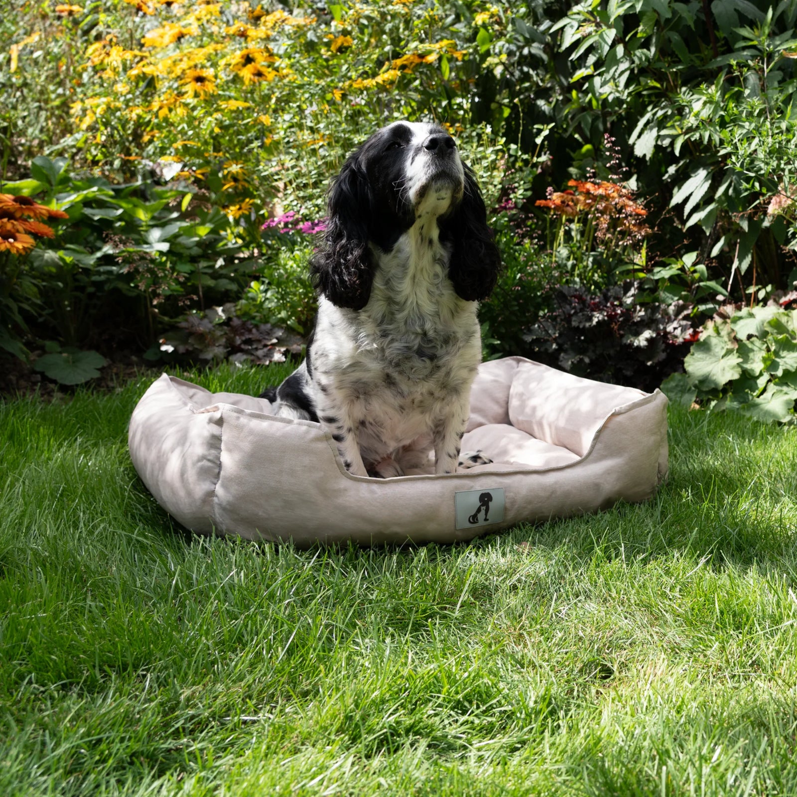 All Pet Solutions Dexter Dog Bed - Soft Waterproof Washable Hardwearing Basket