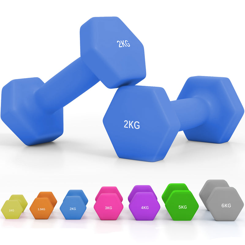 Dumbbells, Hexagonal Weights Pair