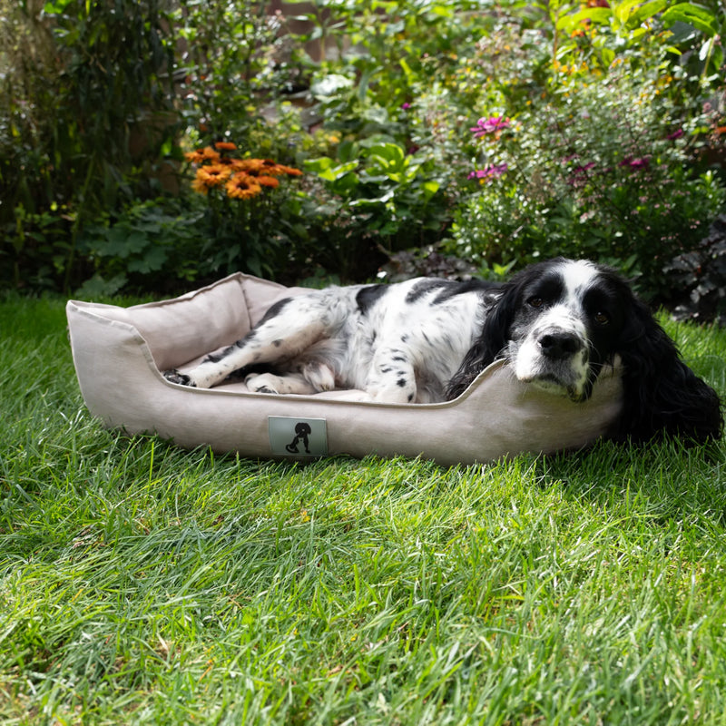 All Pet Solutions Dexter Dog Bed - Soft Waterproof Washable Hardwearing Basket