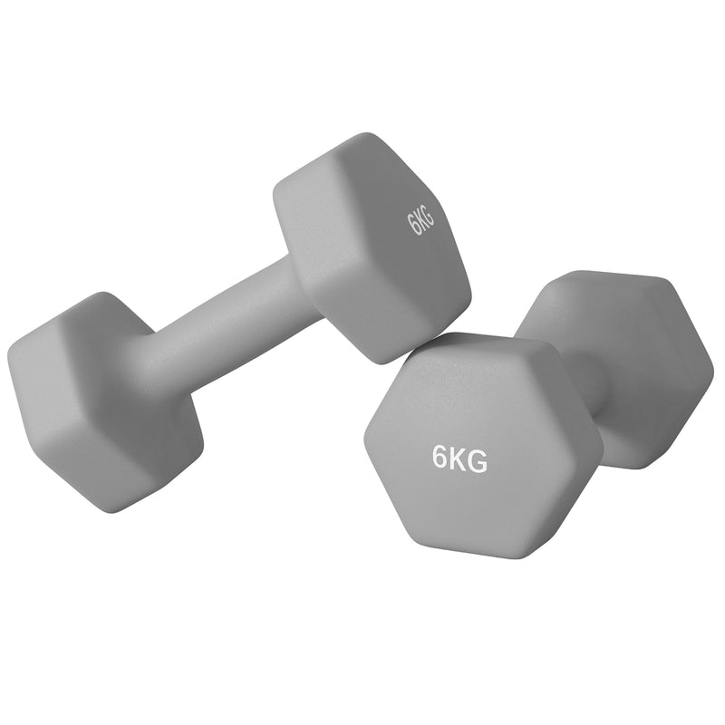 Dumbbells, Hexagonal Weights Pair