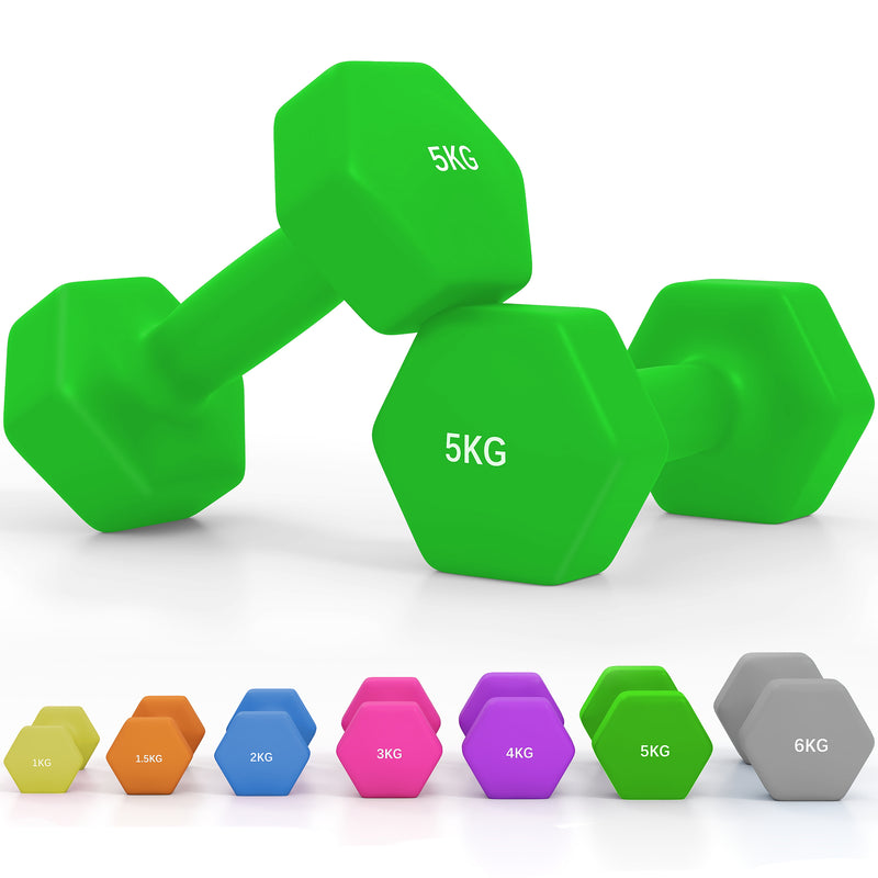 Dumbbells, Hexagonal Weights Pair