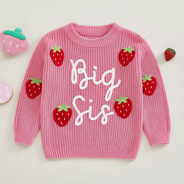 1-4Years Toddler Girls Sweater Strawberry Letter Embroidery Crew Neck Long Sleeve Kids Pullovers Jumper for Girls