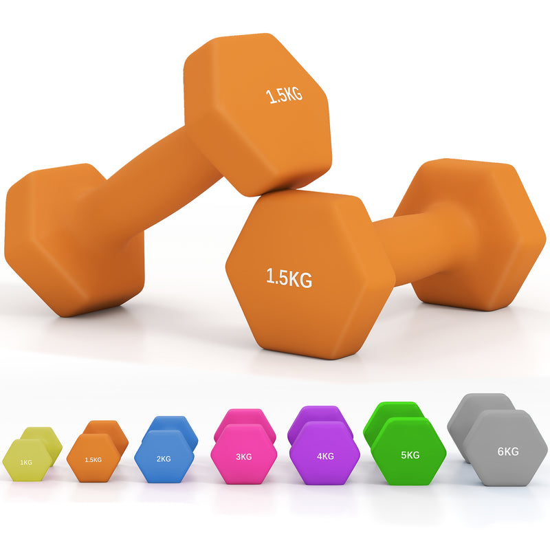 Dumbbells, Hexagonal Weights Pair