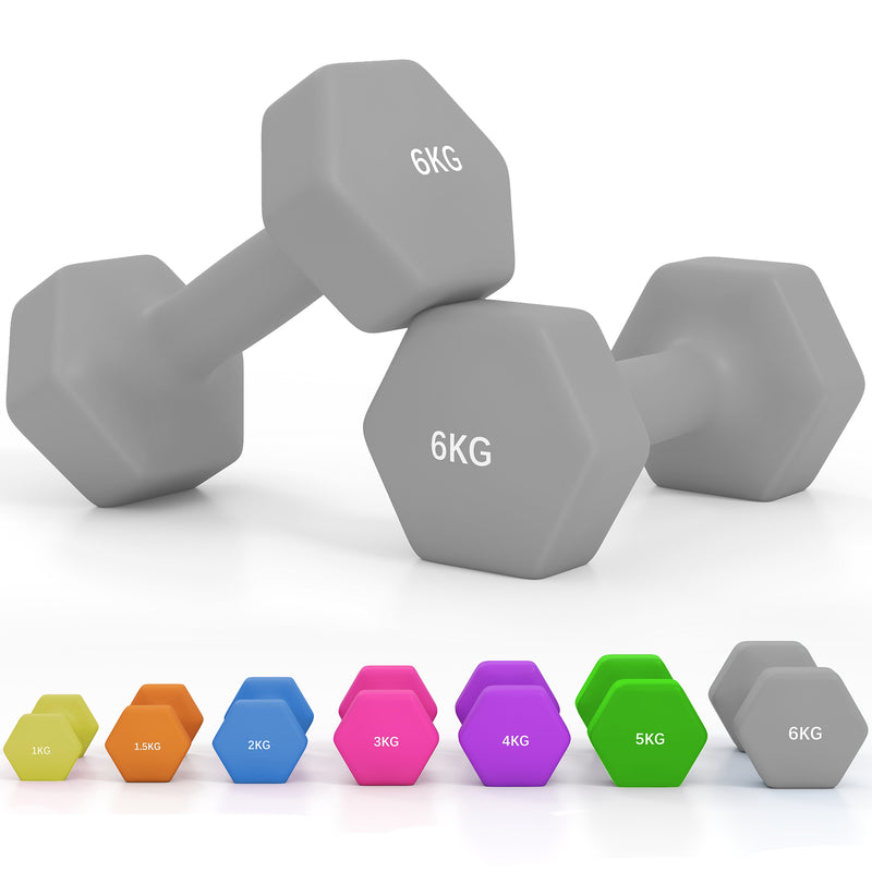 Dumbbells, Hexagonal Weights Pair