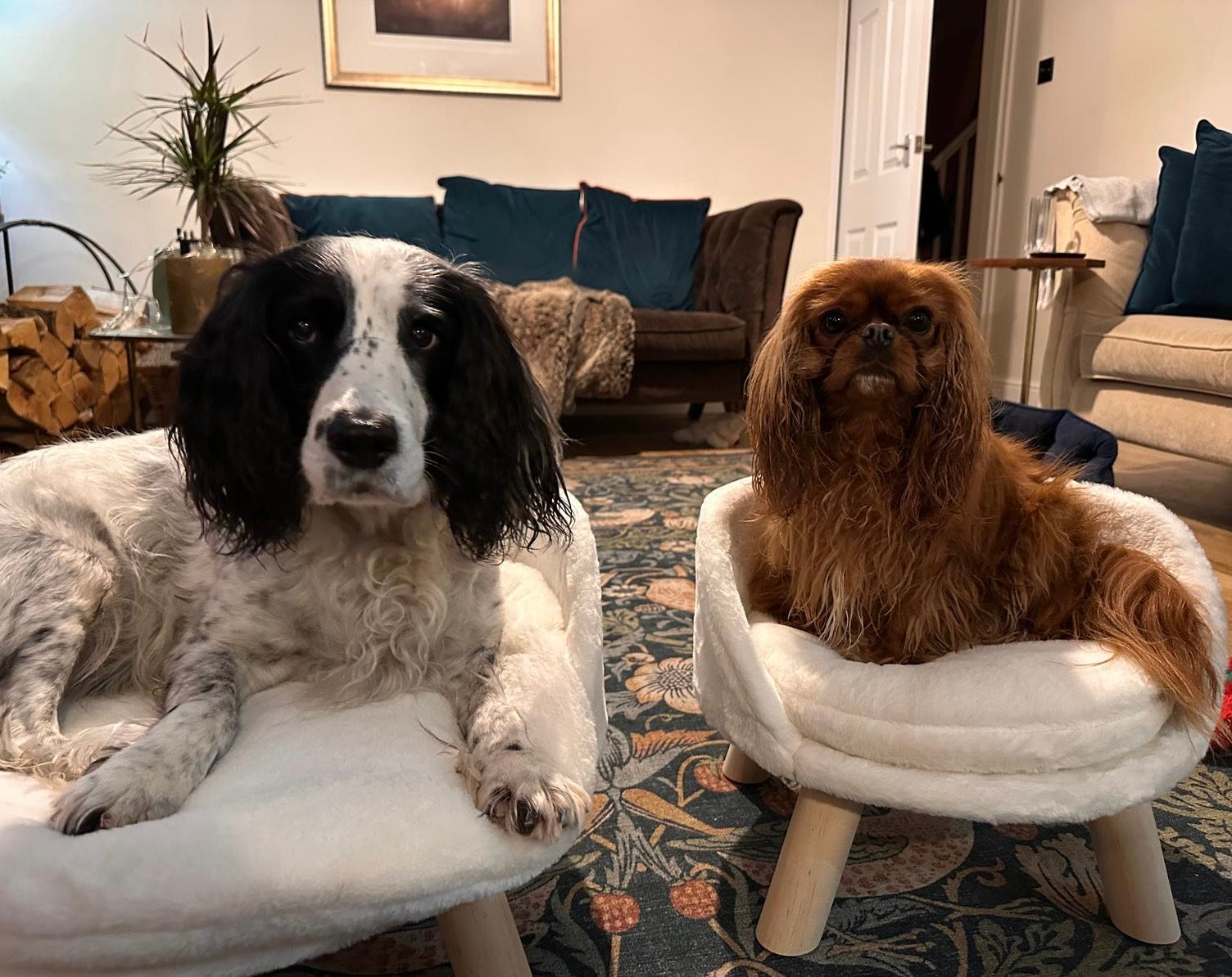 Luxury Cat or Small Dog Bed, Soft and Warm White Plush Stool